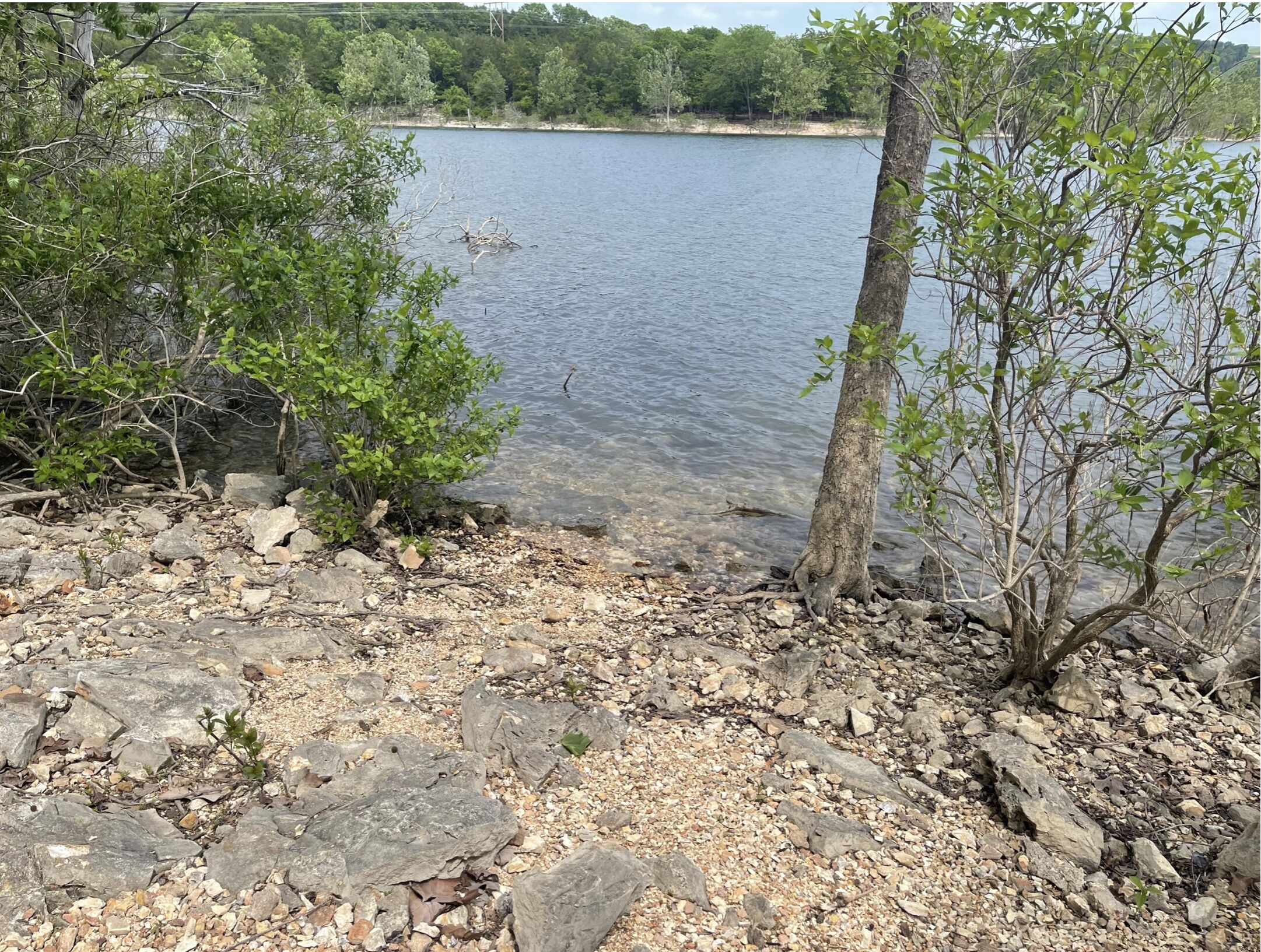 Lake access from Branson Cove Trail