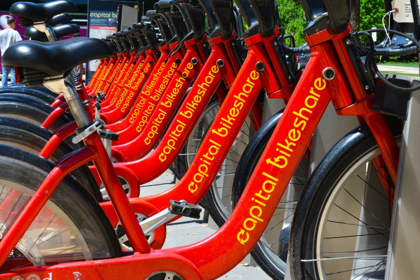 Bike Rentals Available Throughout the Neighborhood.