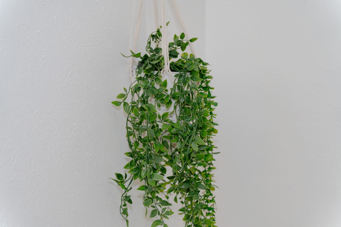 Living room decor styled with fresh greenery accents.