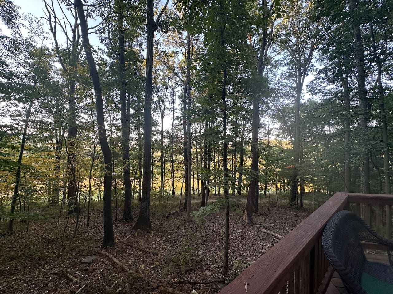 Nestled among mature trees, the property offers a peaceful woodland vibe plus a charming children’s play area—ideal for families to relax while the kids explore and enjoy nature.