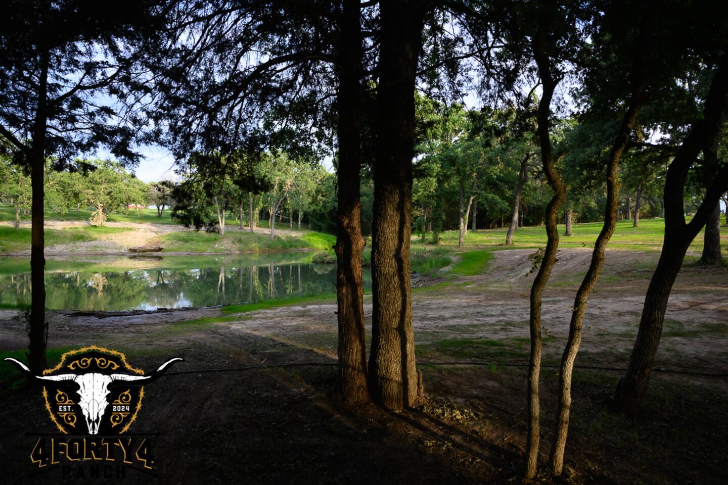 A view of the pond from your patio