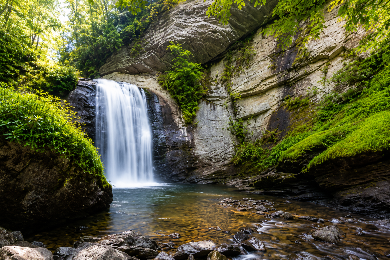 {Looking Glass Falls} Only 15 minutes (7.6 miles) from the home, this iconic waterfall is one of Pisgah Forest's most photographed natural wonders—and one of the easiest to experience.