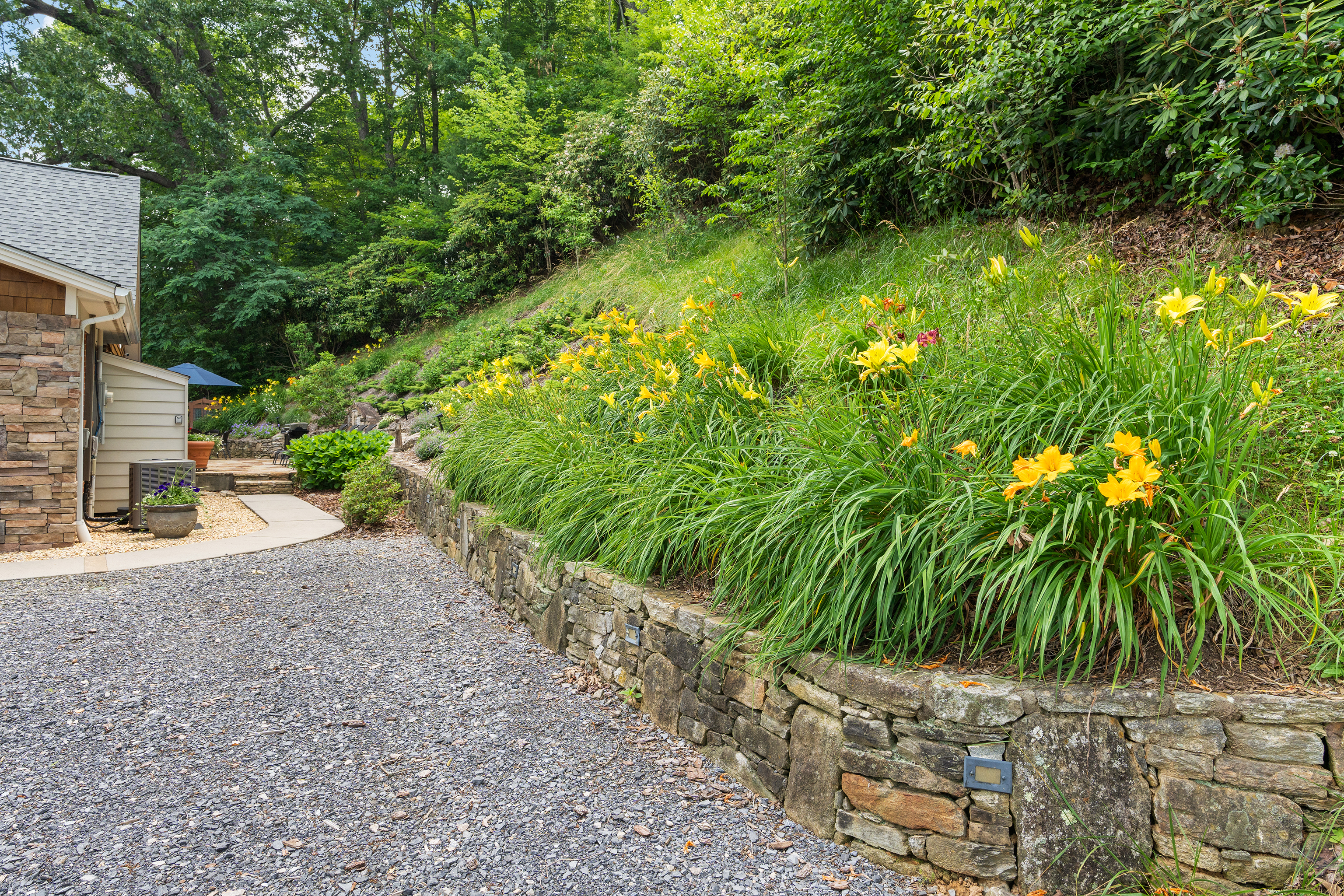 Day Lilies and Seasonal Blooming Rhododendrons