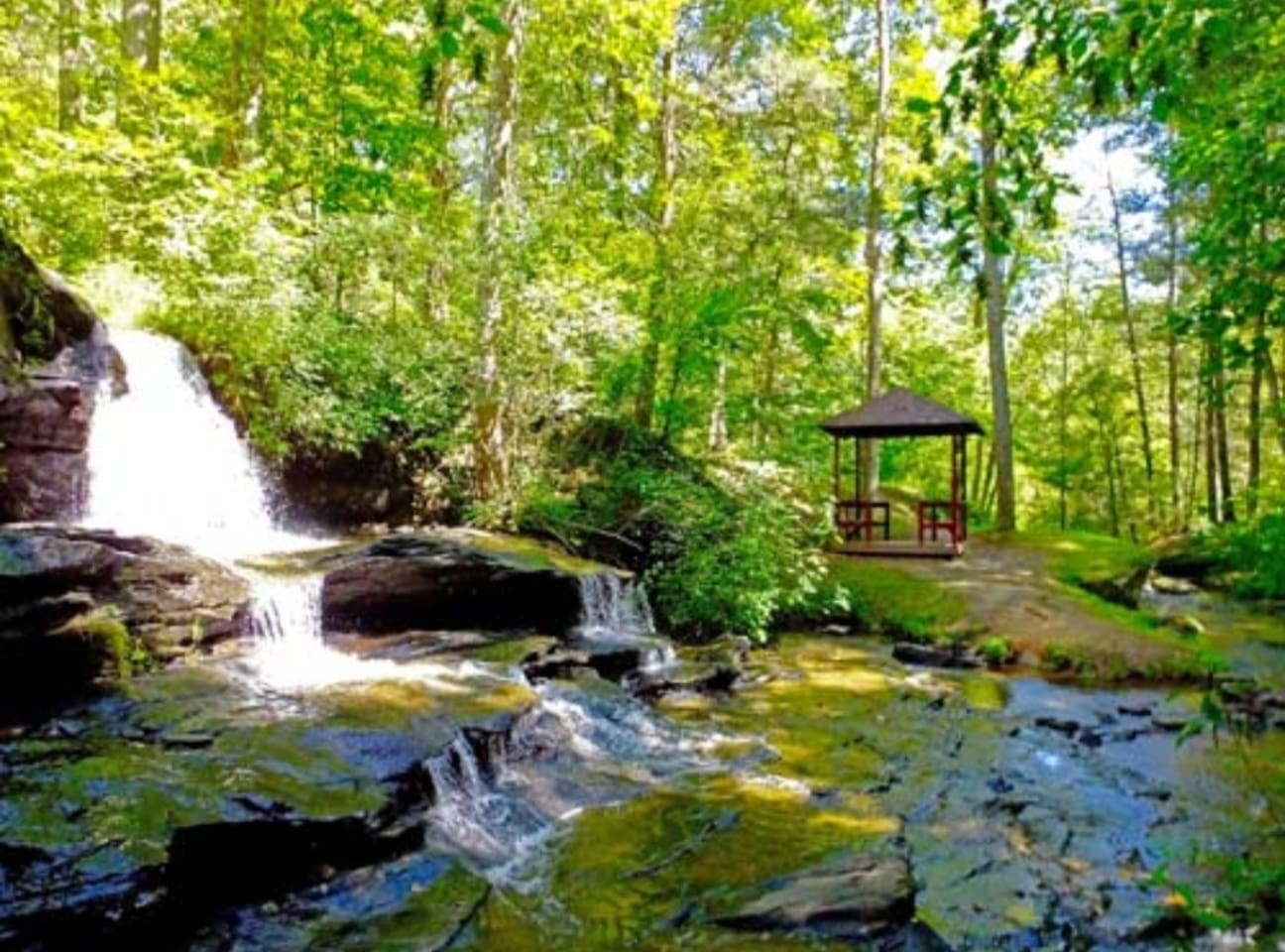 Private Riverwalk area, walking distance from cabin, parking also available. Directly across from our beach. Dogs welcome at the river ( not allowed on the white sand part of the beach).