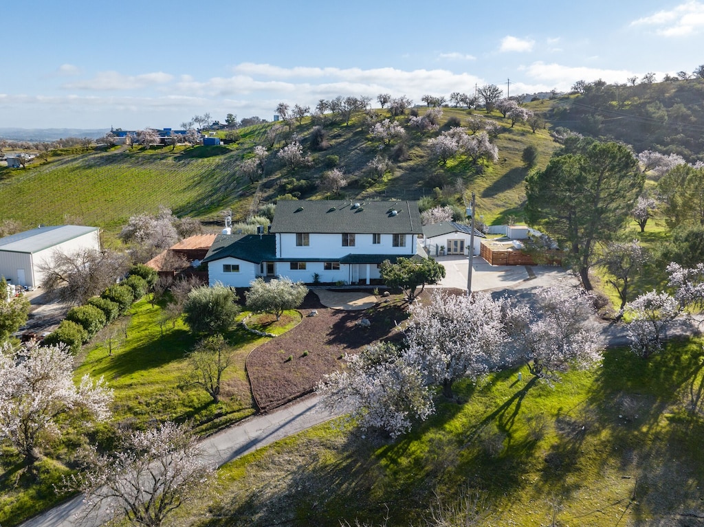 Ariel view with blooming trees