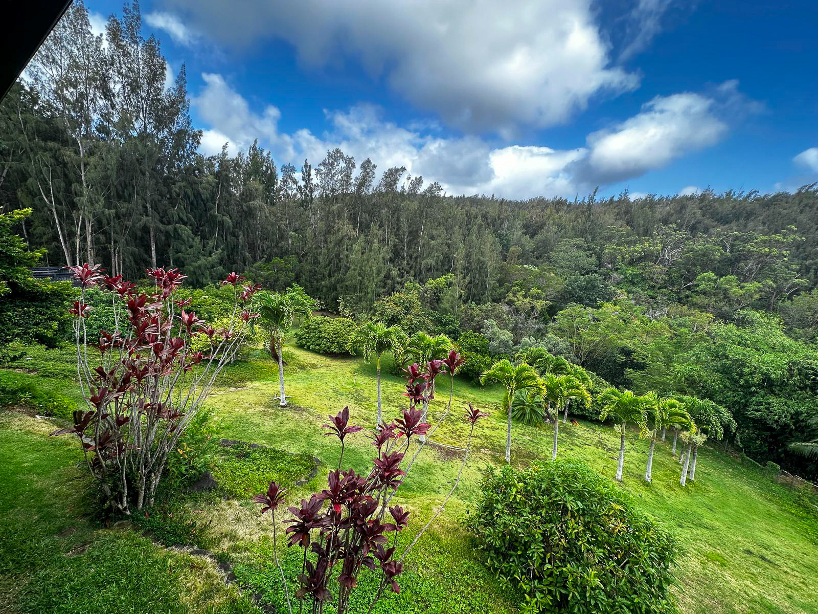 Stunning views from your lanai