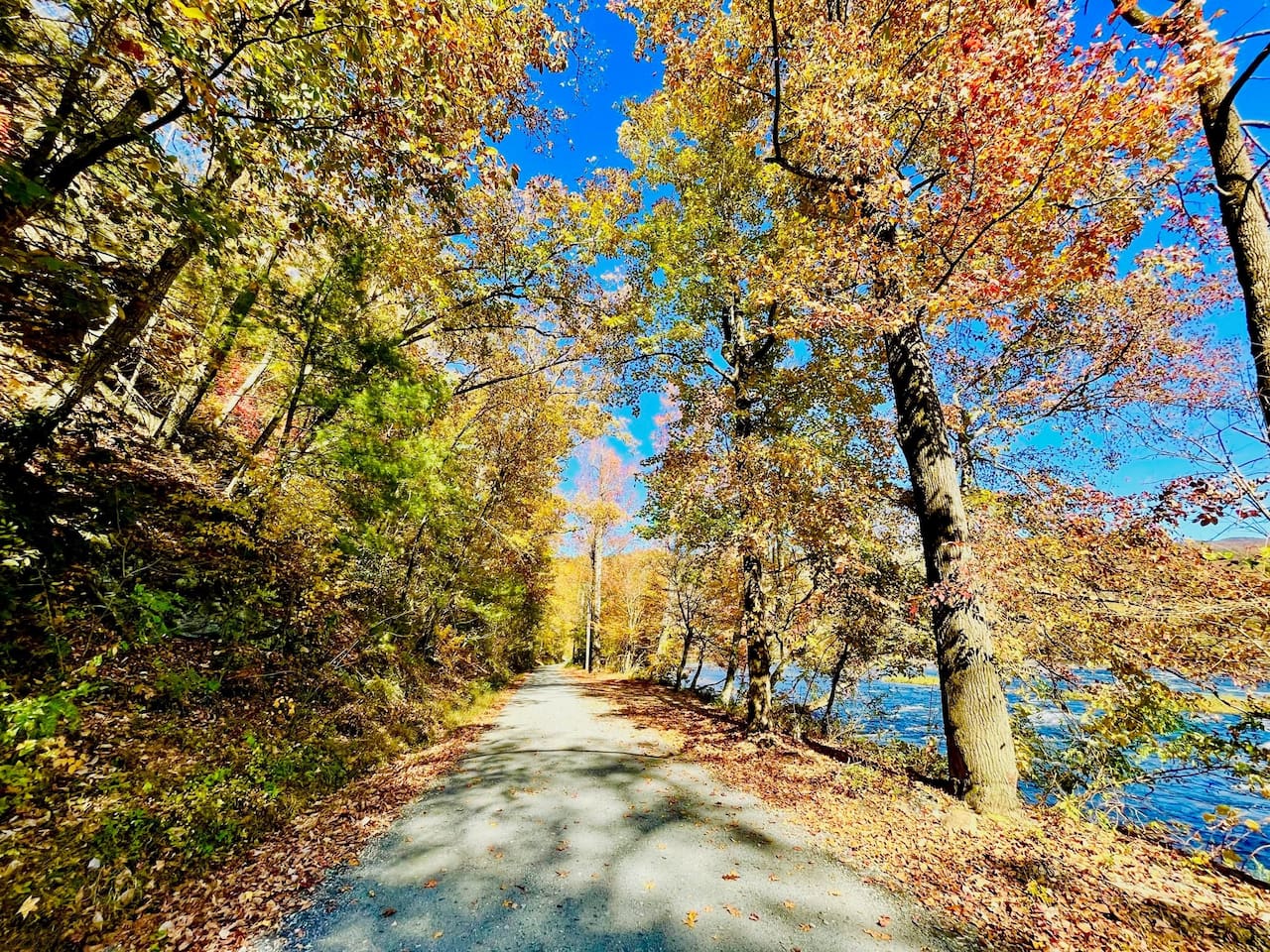 A bluebird sky Fall day on River Road leading to cottage.  