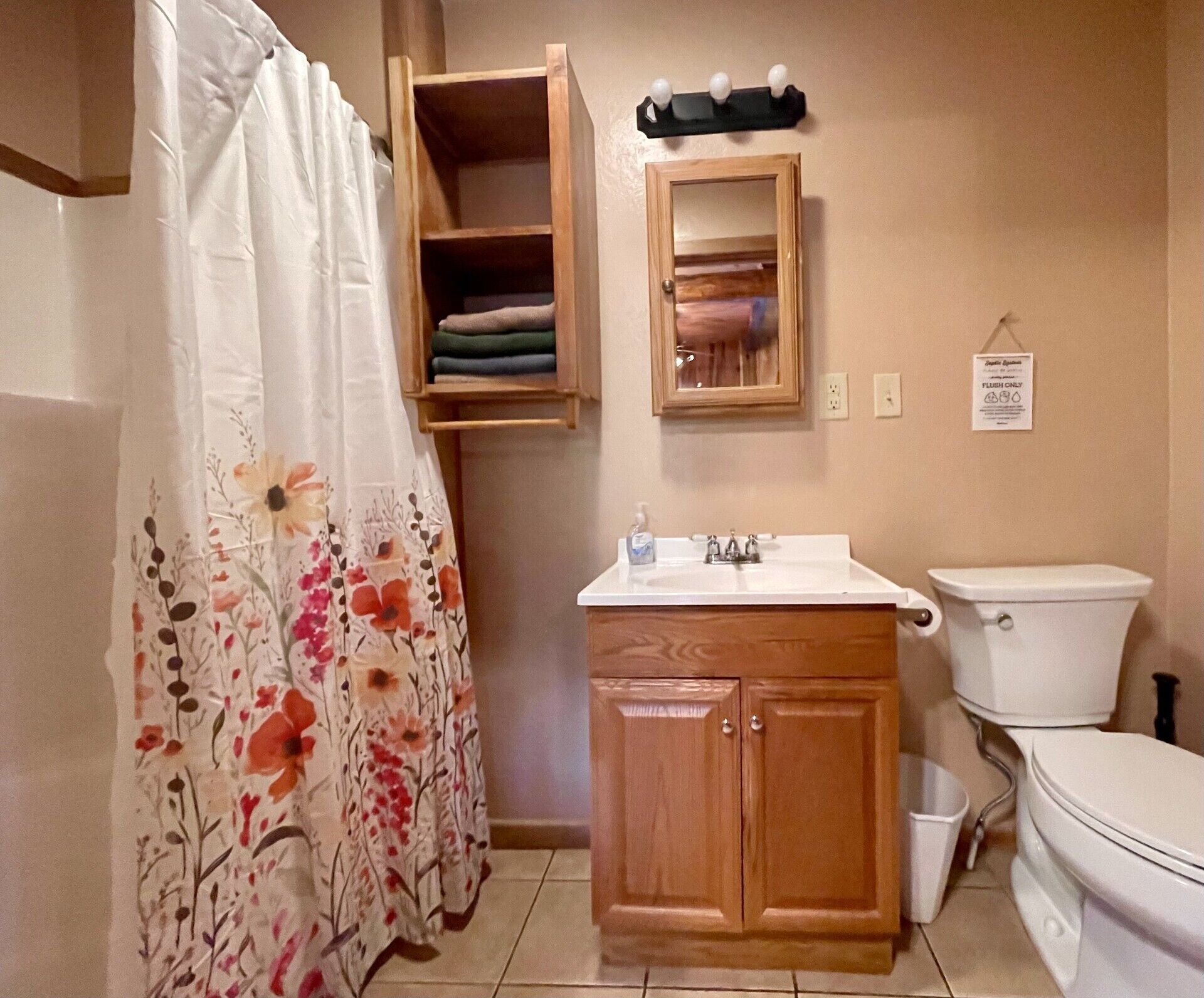 Downstairs bathroom has a shower.