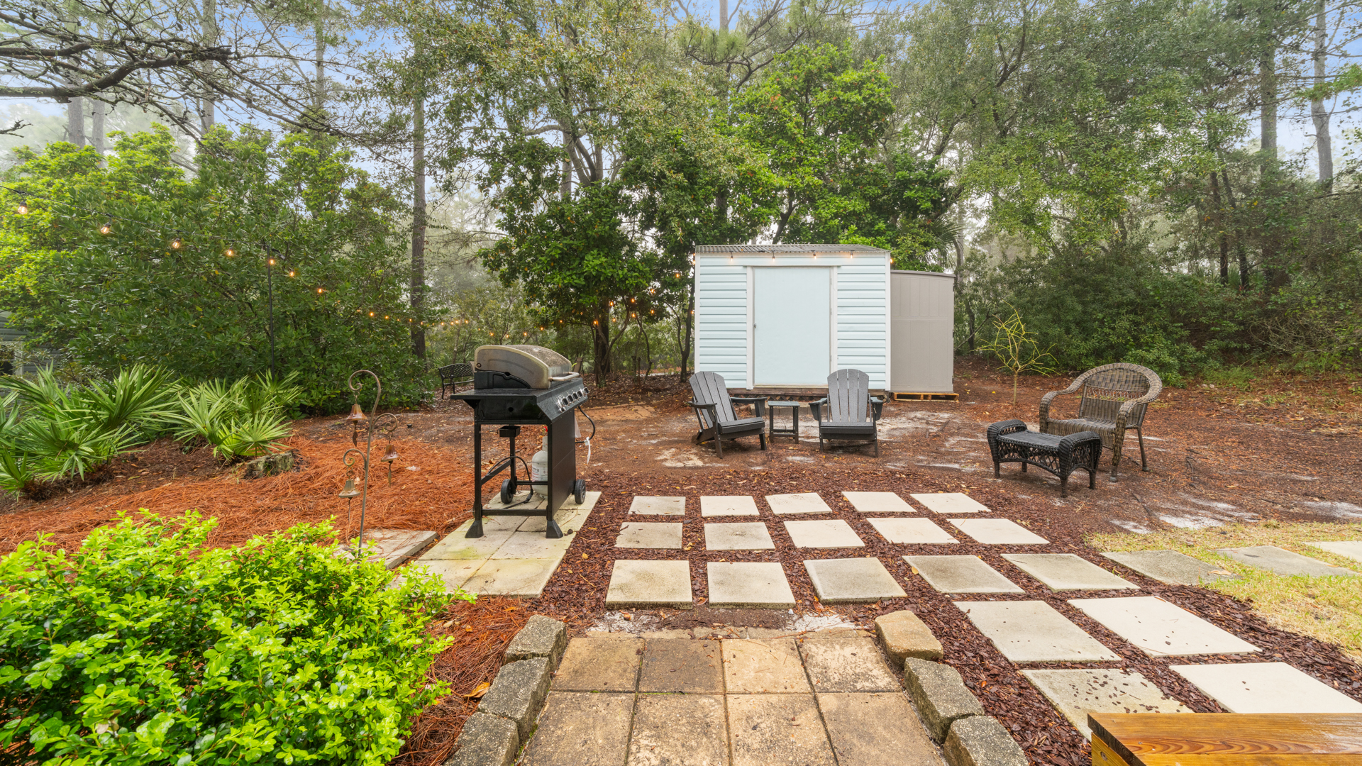 Backyard/Patio with Grill