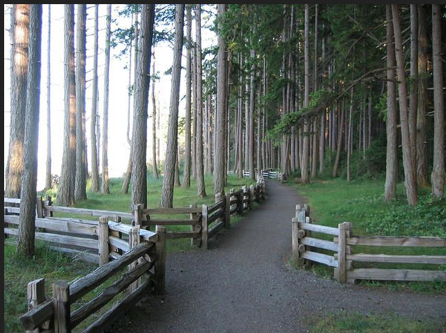 Amazing trails nearby!