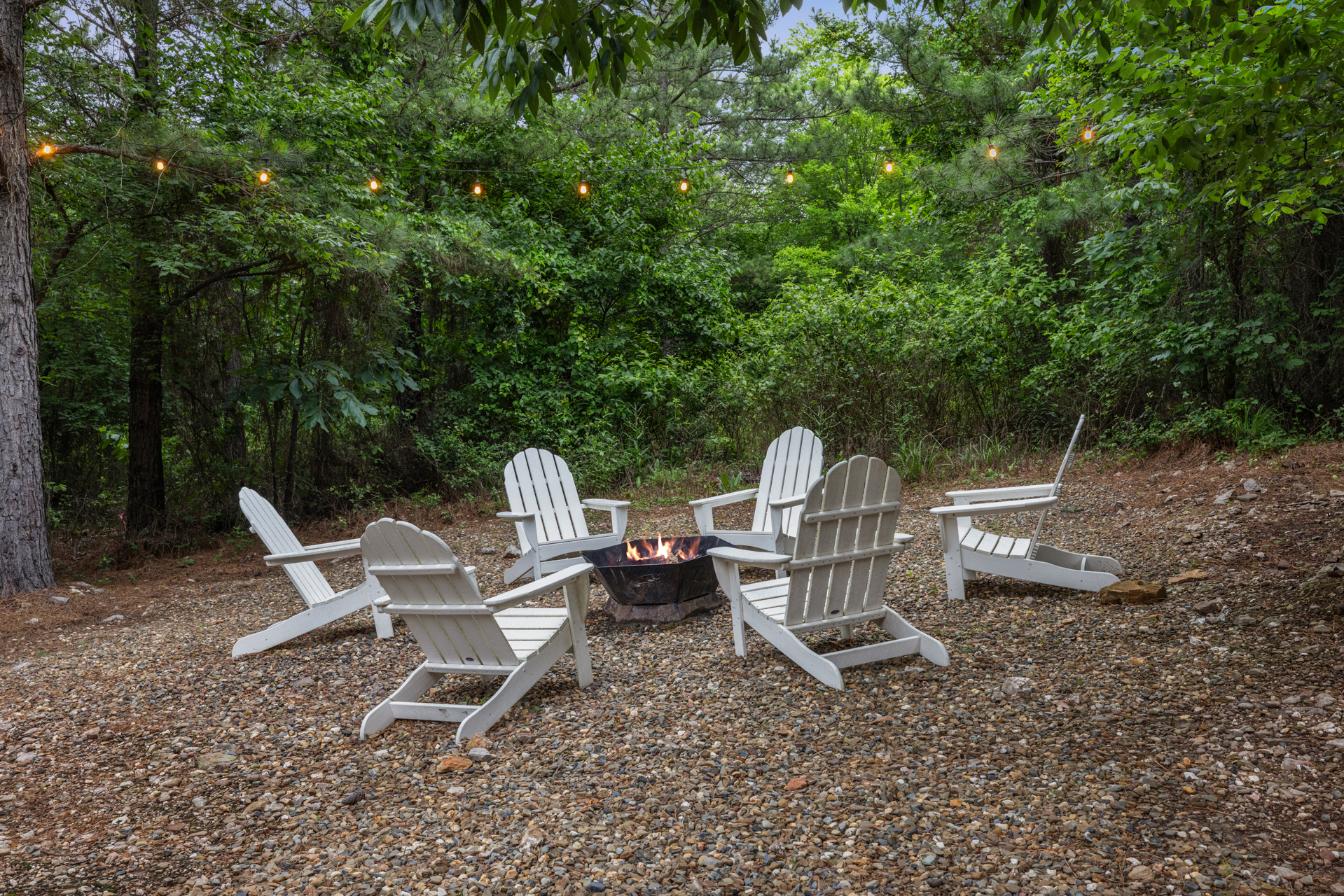 Just peaceful forest views and the kind of slow cabin moments you wish lasted longer.