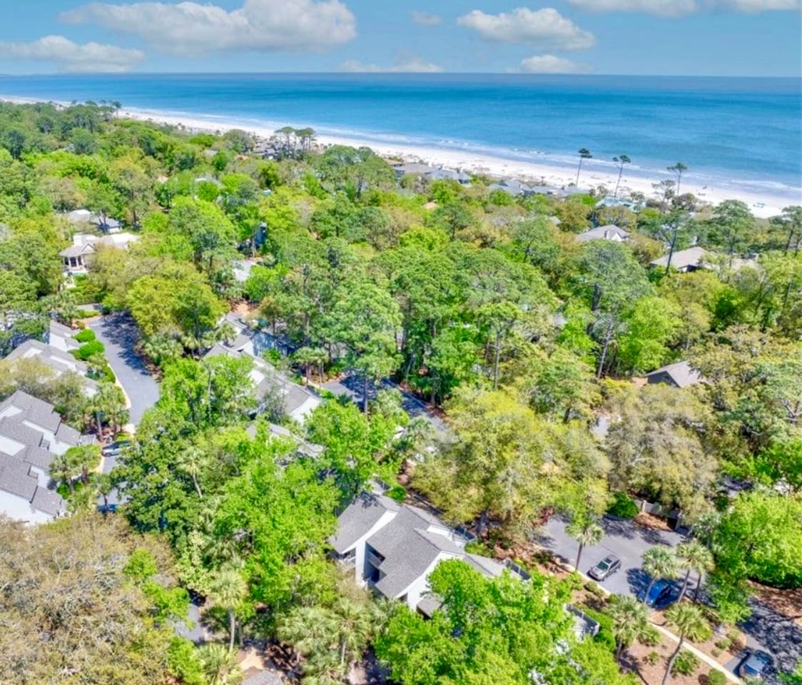 Palmetto Dunes from above