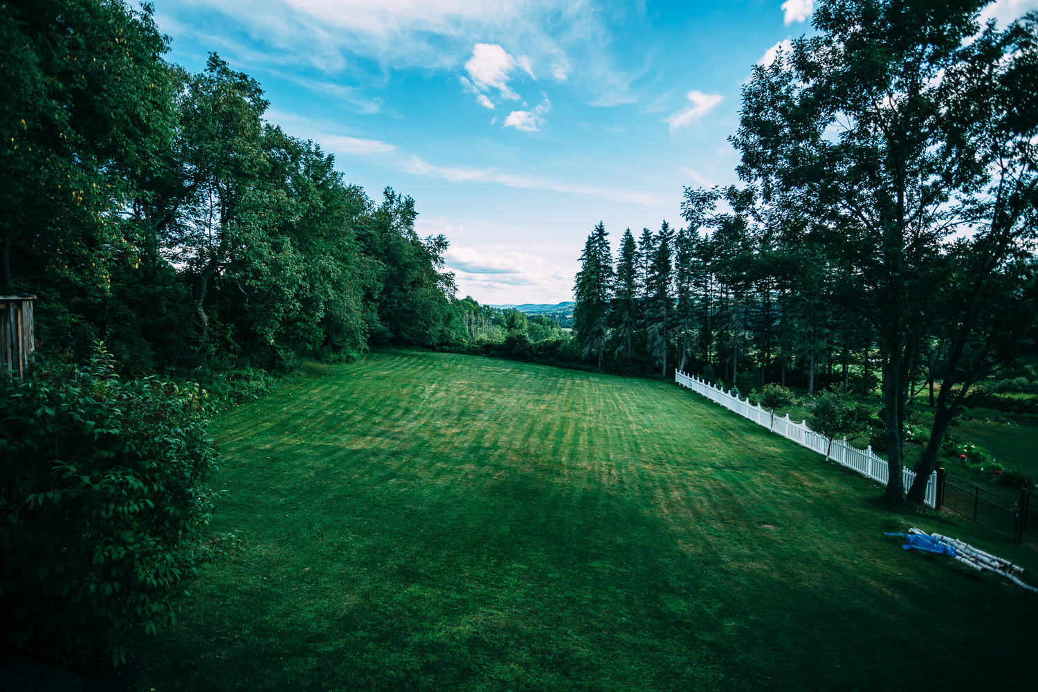 Backyard