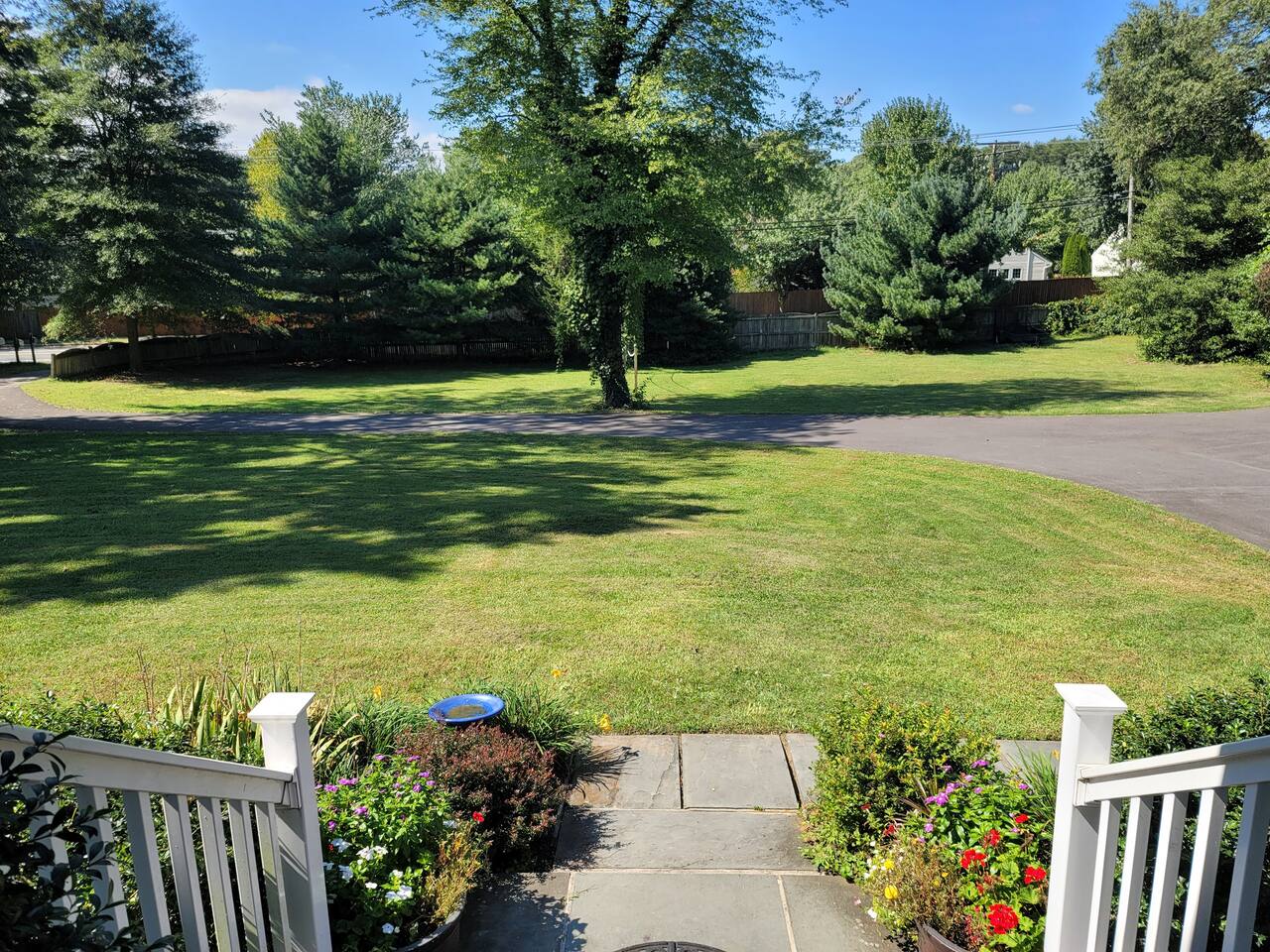 Front Yard from front Door (lots of room for kids to play)