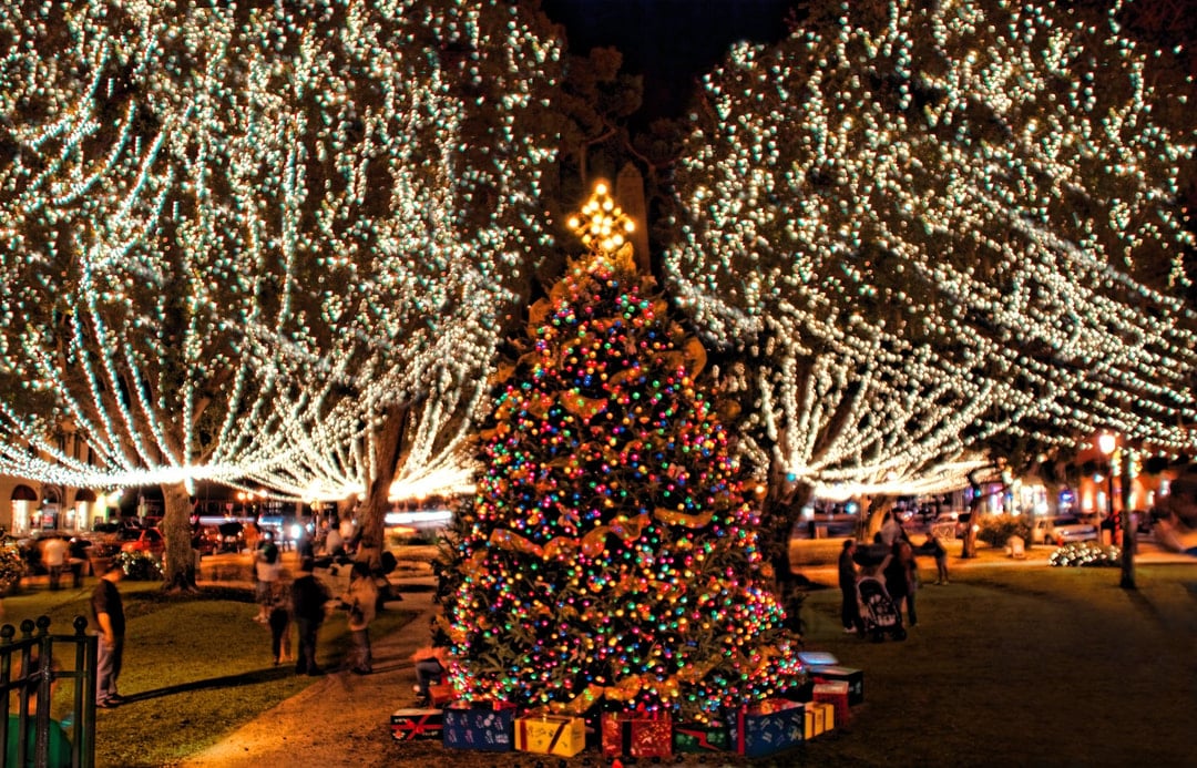 - Festive holiday park glowing with bright sparkling lights everywhere - Colorful decorations create magical winter evenings for joyful visitors - Perfect spot for nighttime walks photos and holiday season memories