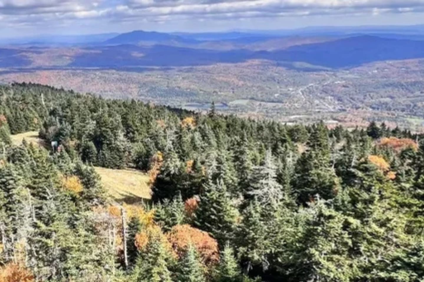 Top of Healdville trail which is an amazing hike located 9 minutes away from the home! 