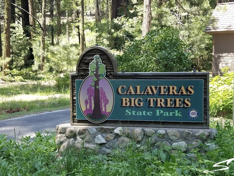 Explore towering giant sequoias, scenic hiking trails, the Stanislaus River, and one of the area’s most iconic natural attractions