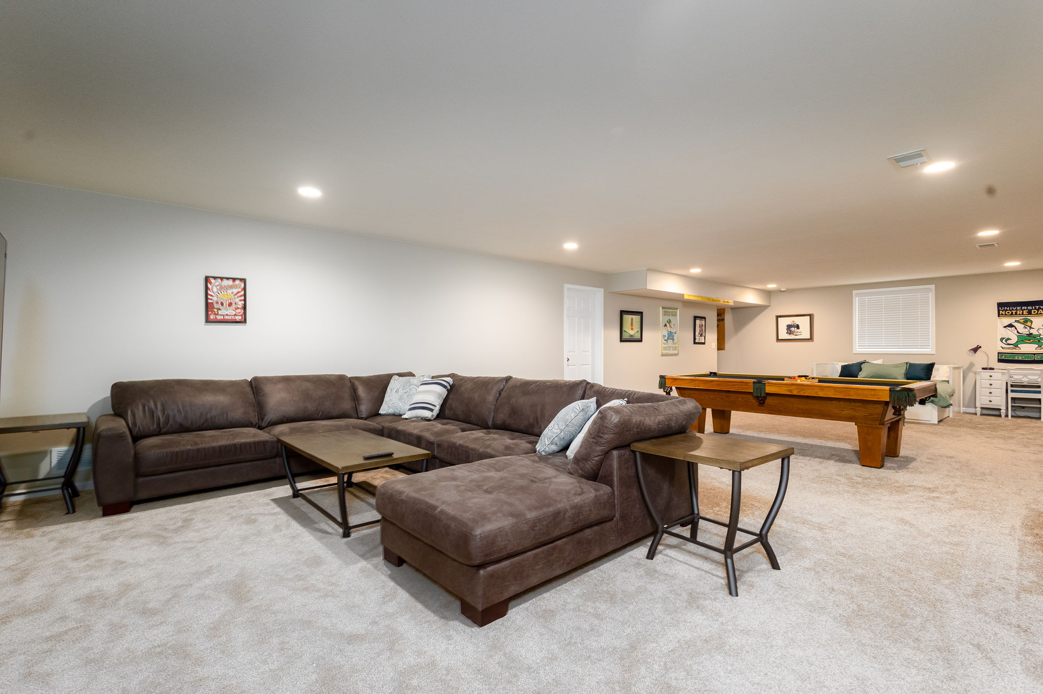 Basement Living Room