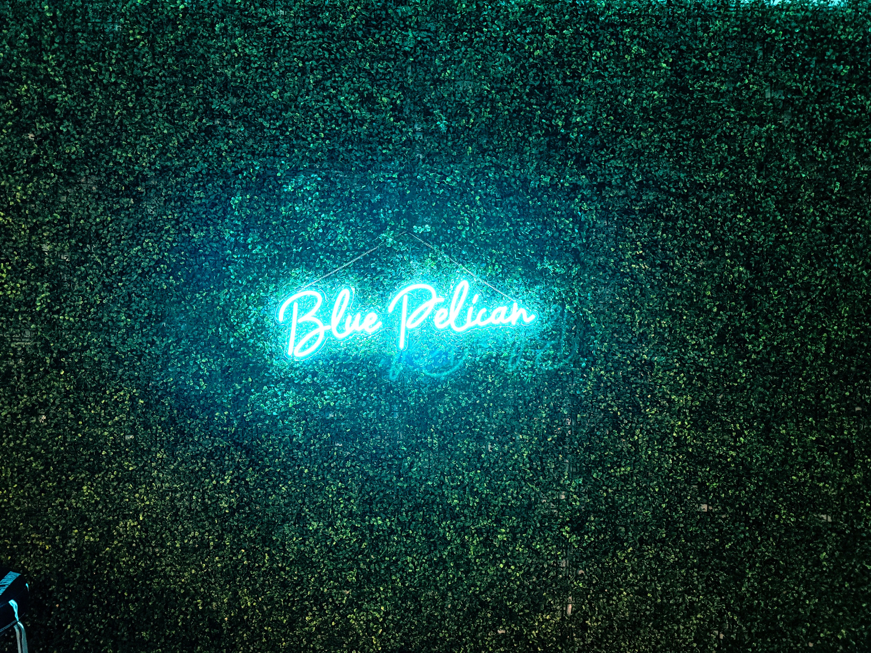 Blue Pelican Grass Wall