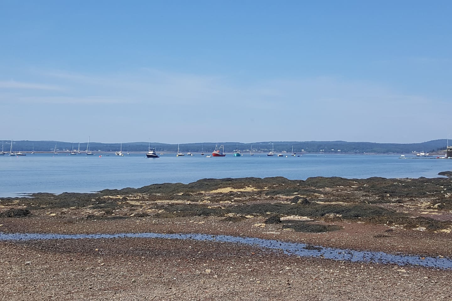 Beach view