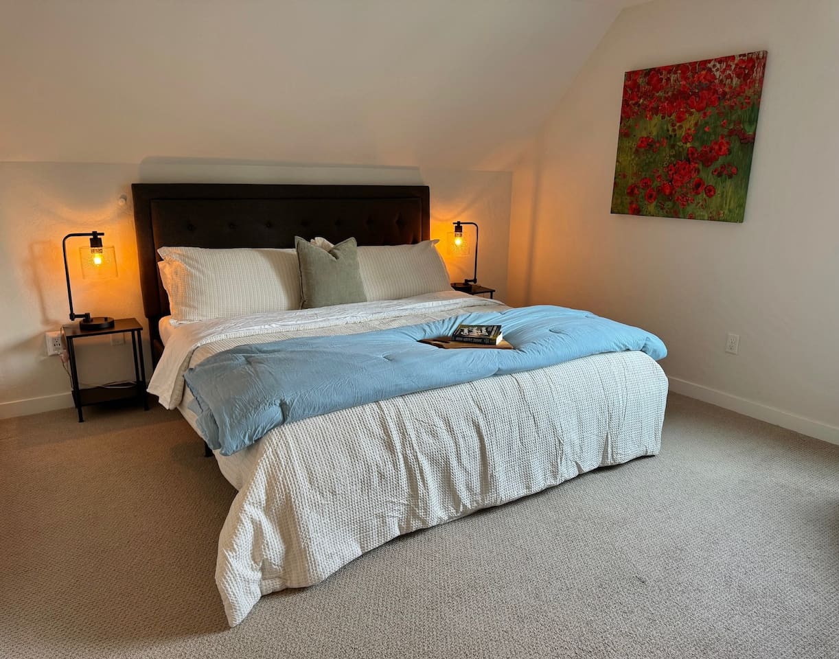 This primary bedroom features a king bed, black out shades, television, and a generous walk-in closet space. 