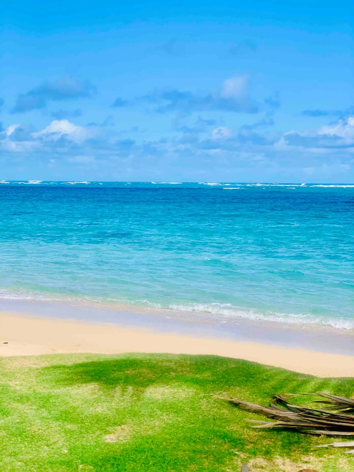 Your safe  beach, right in front of  the condo :)