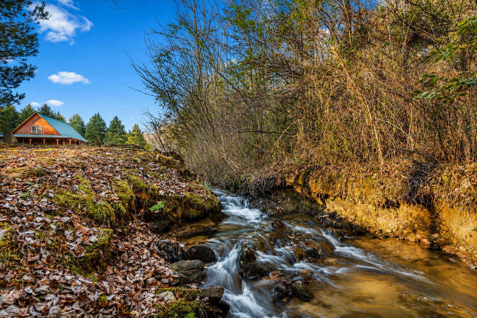 Experience tranquility by the creek side near the cabin