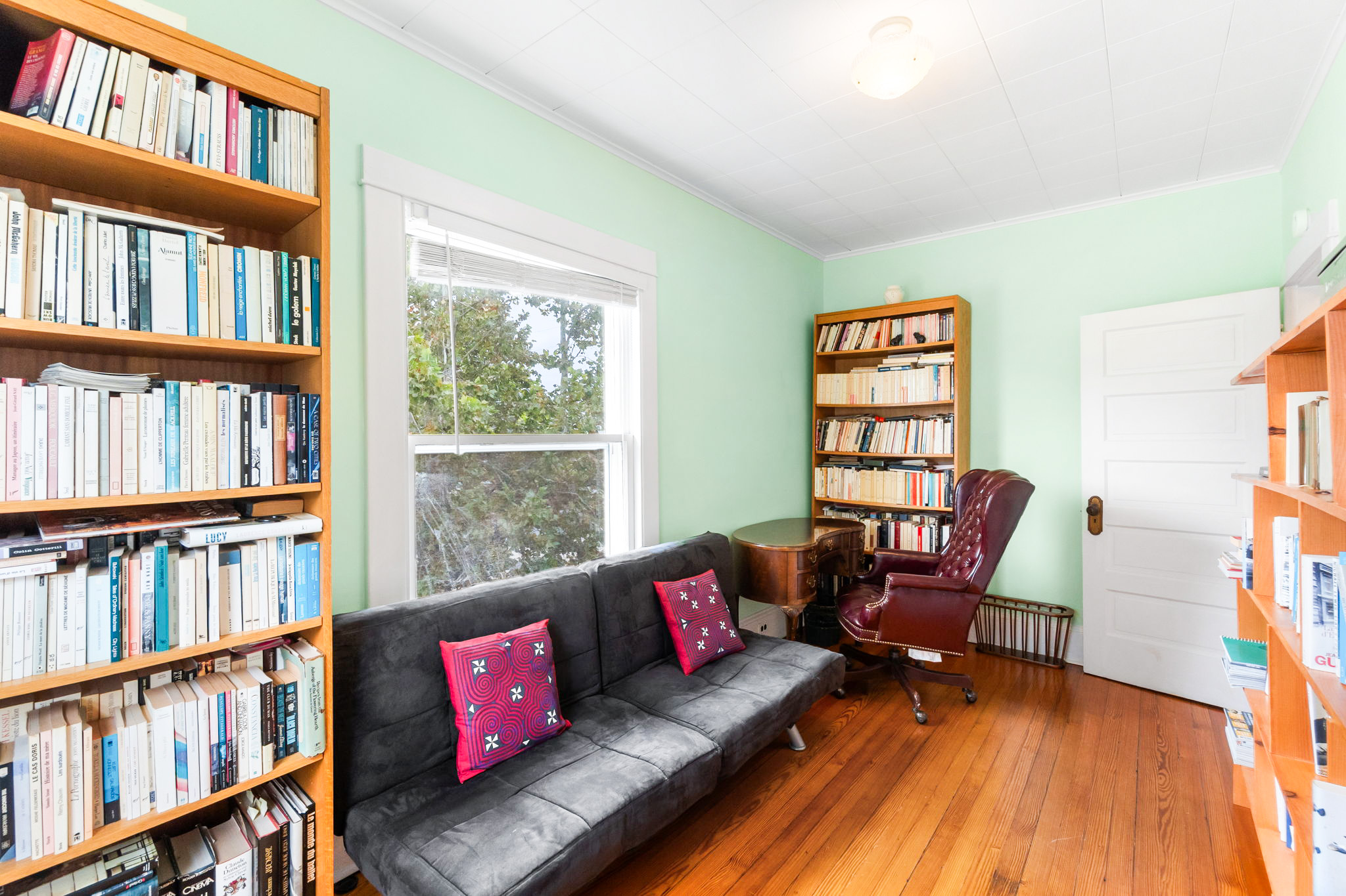Library/Office w/futon