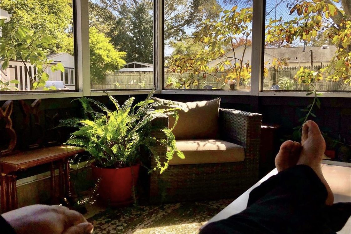 The screened Zen Den is the ultimate shaded chill out space... you'd find me here most afternoons!