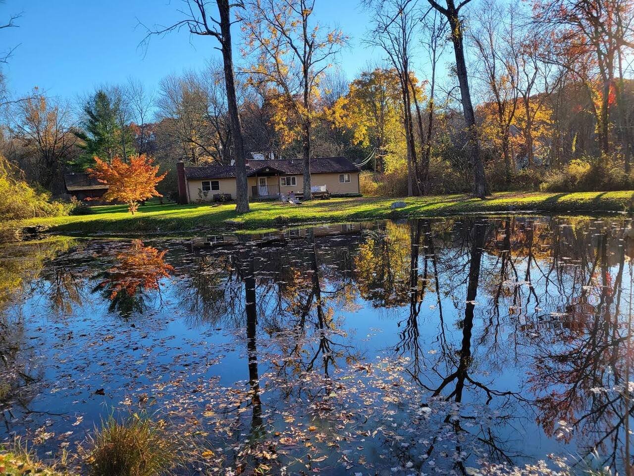 Backyard pond in the fall. That white door pictured enters into the kitchen.

Amazing for a relaxing stroll or sitting on one of our lawn chairs with a nice book or glass of wine.