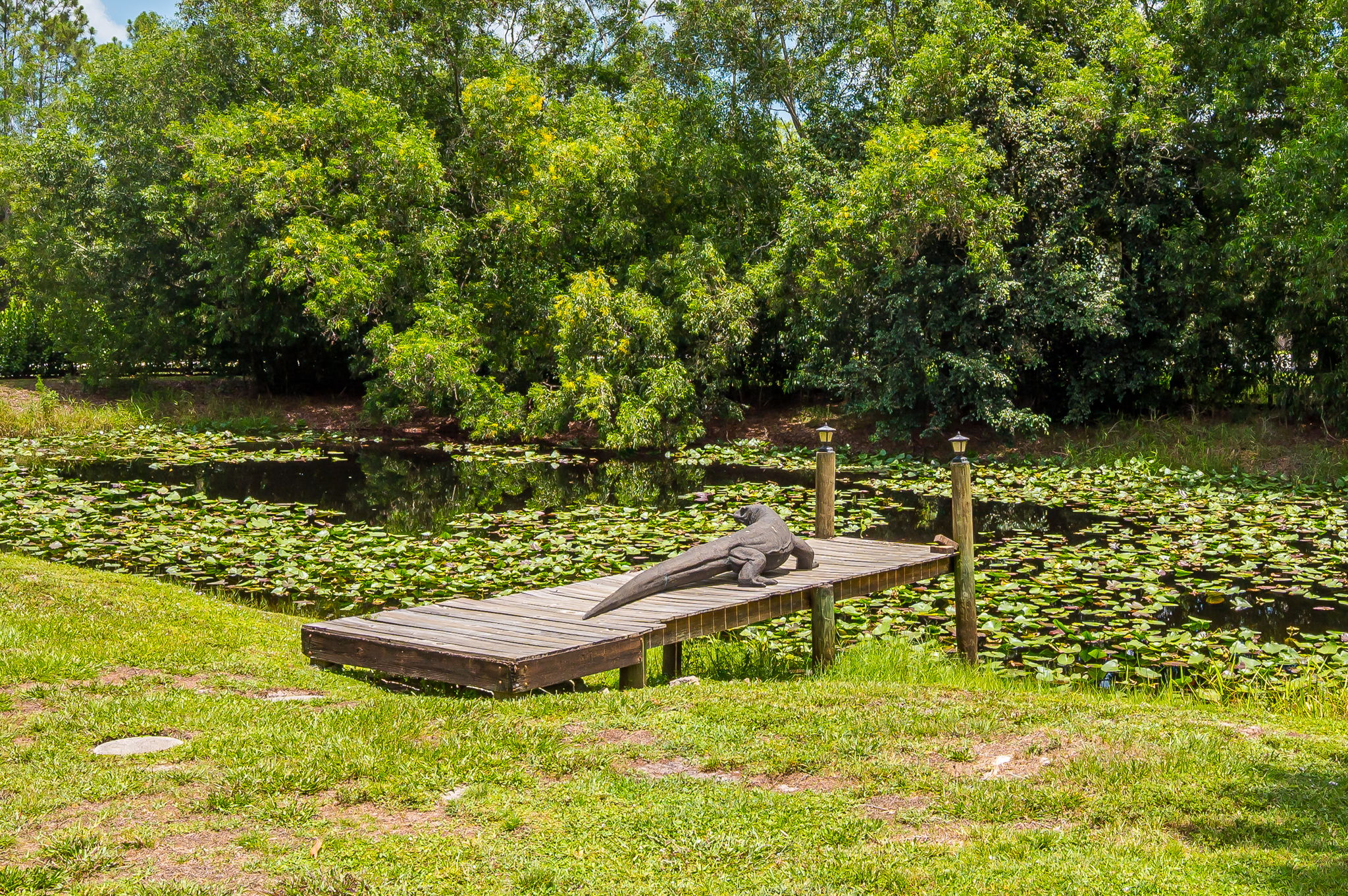 Expansive backyard retreat featuring a wood firepit, lush greenery, and a private pond perfect for fishing, offering a serene and secluded outdoor escape.