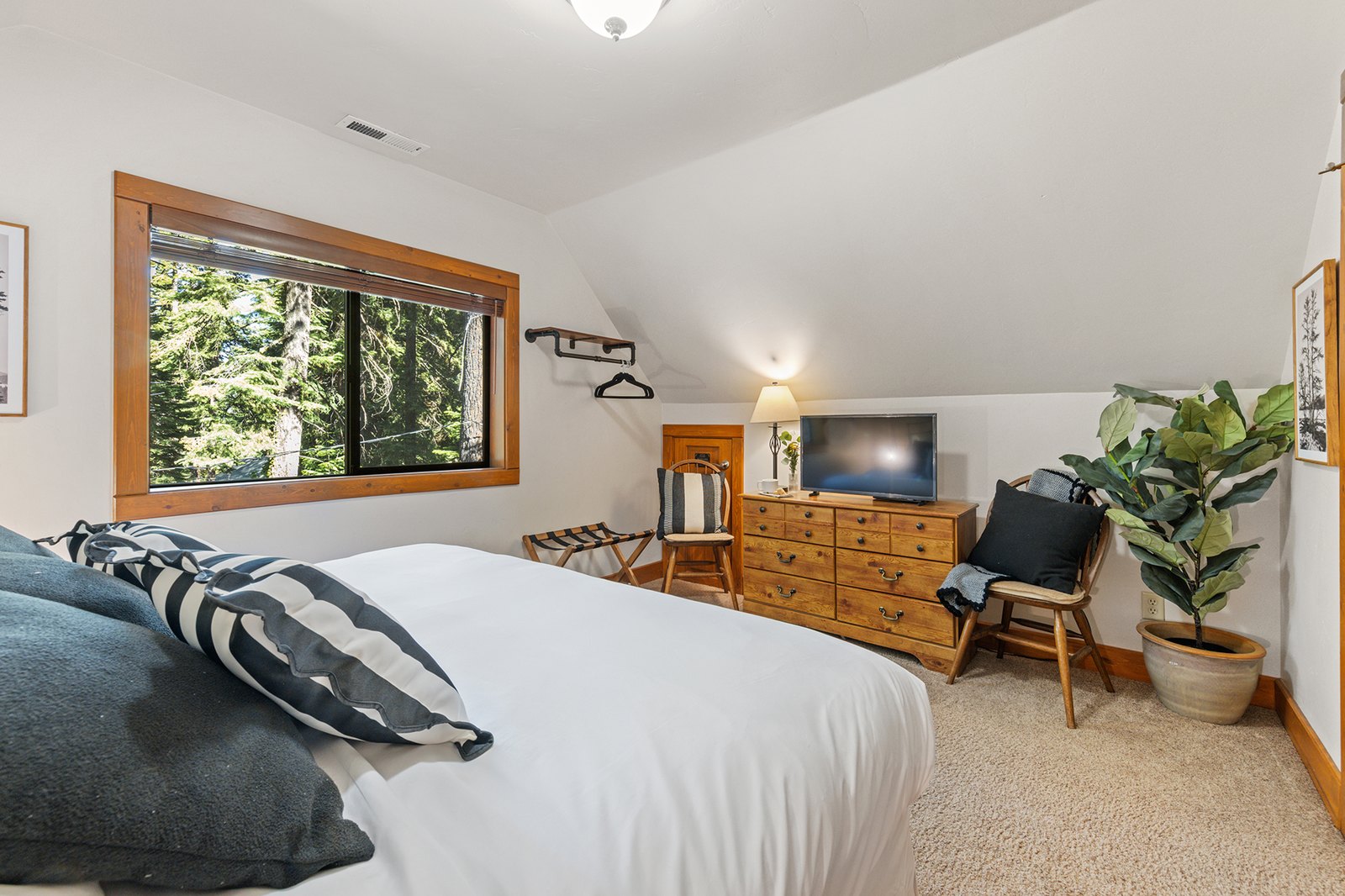 Stream a show or just watch the trees — this king room comes with its own TV and a wall of forest light.