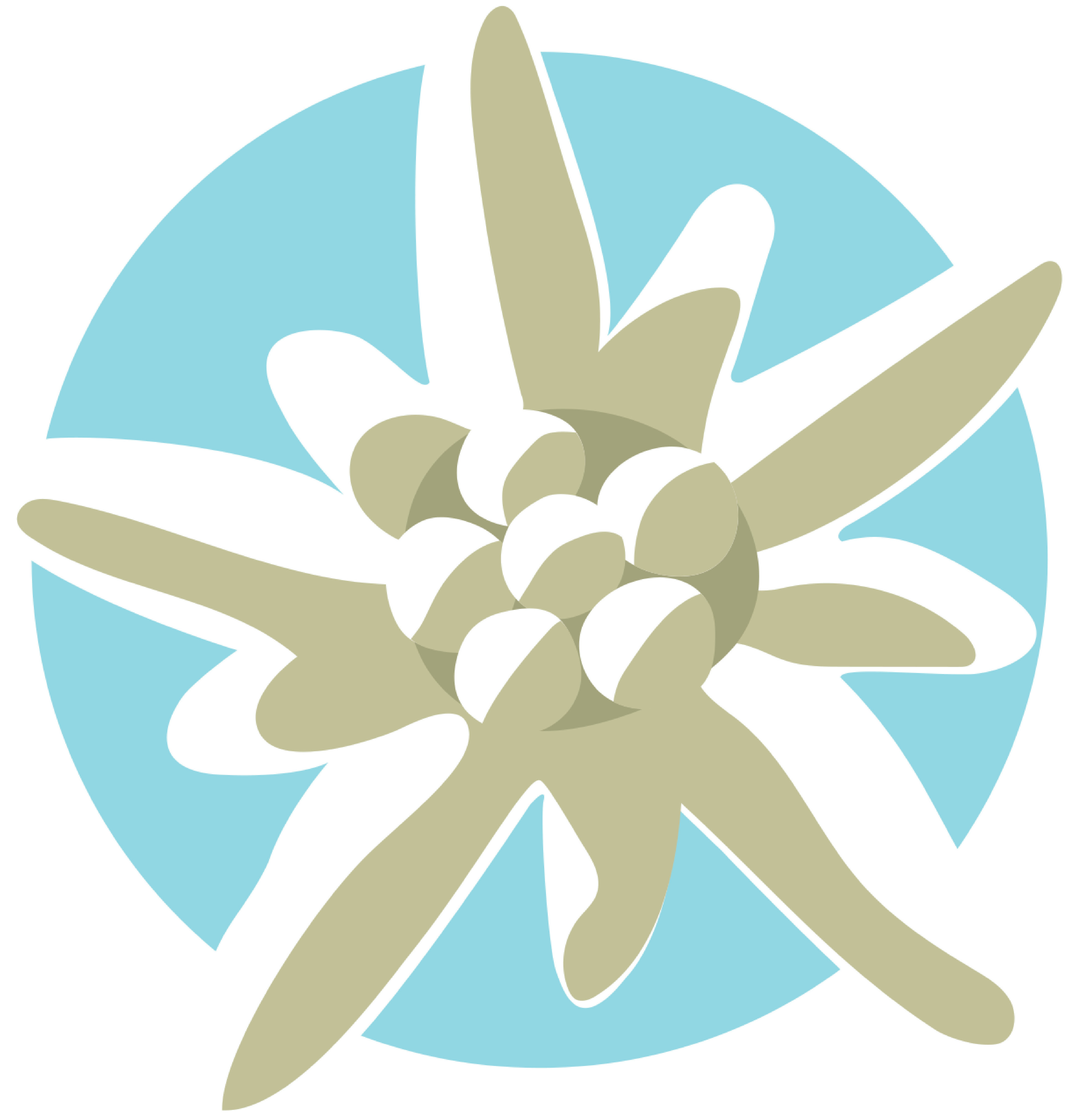 Blog - Edelweiss Cabin, image size:4243x4435