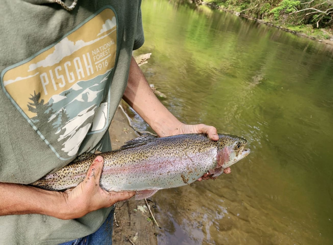 Fishing in Spring Creek