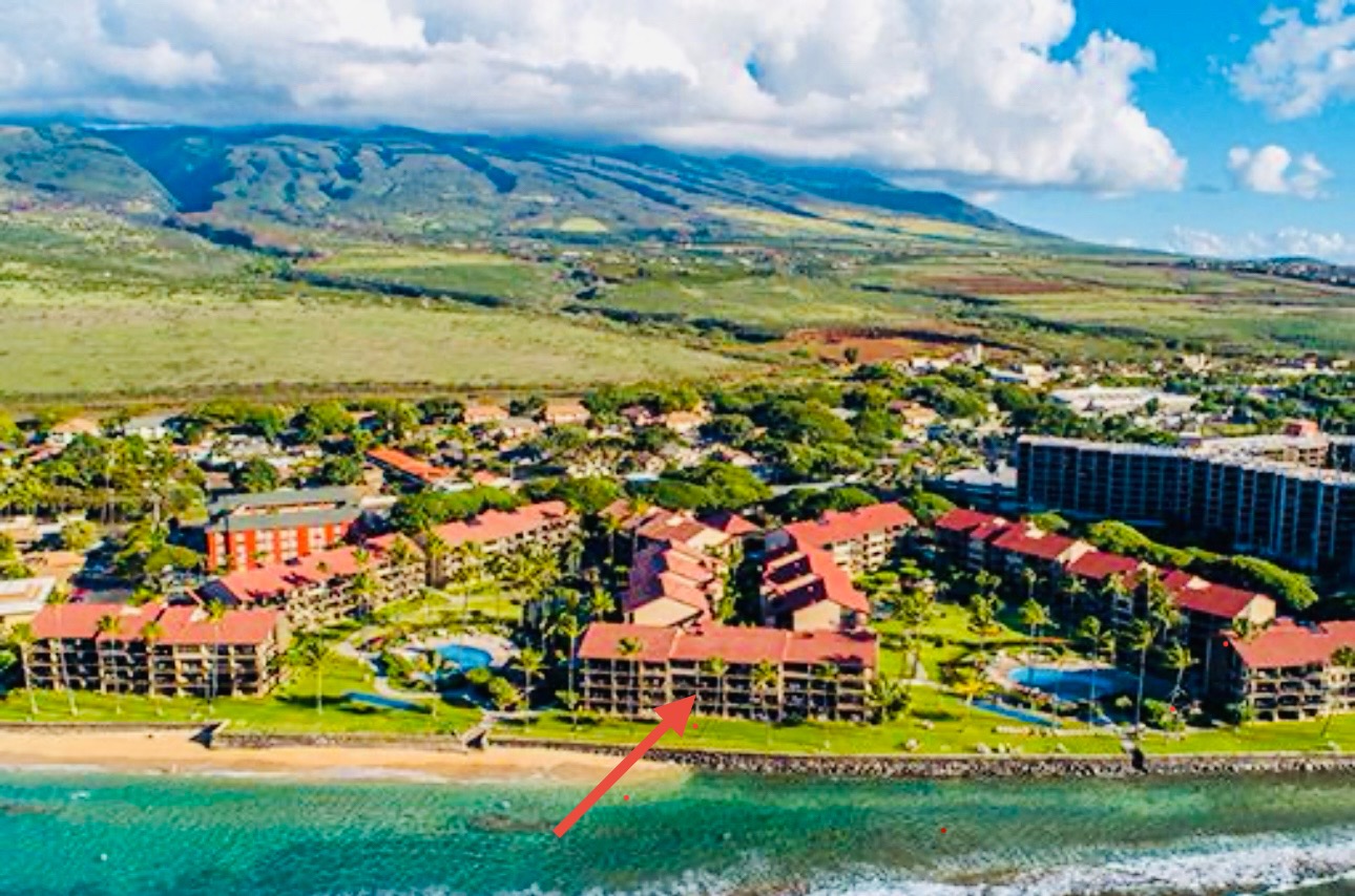 Your (F building) address: oceanfront and center stage
