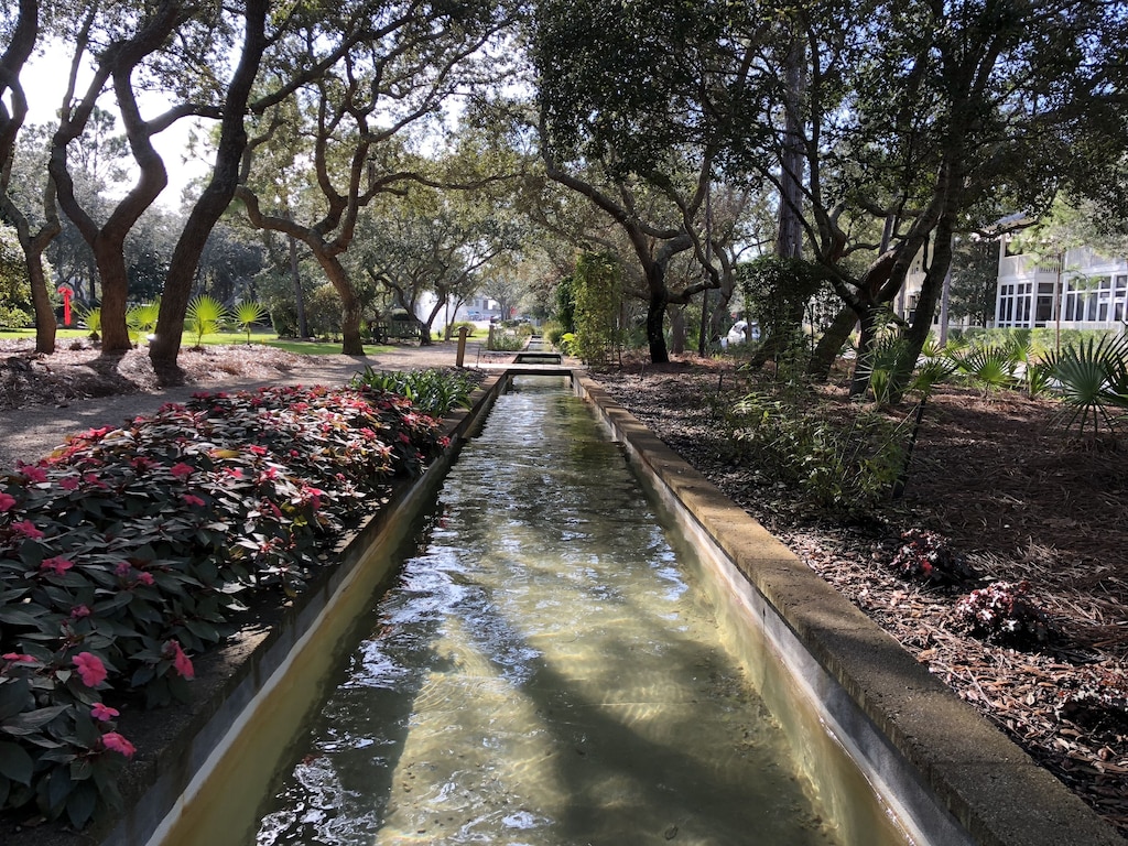 Water Feature