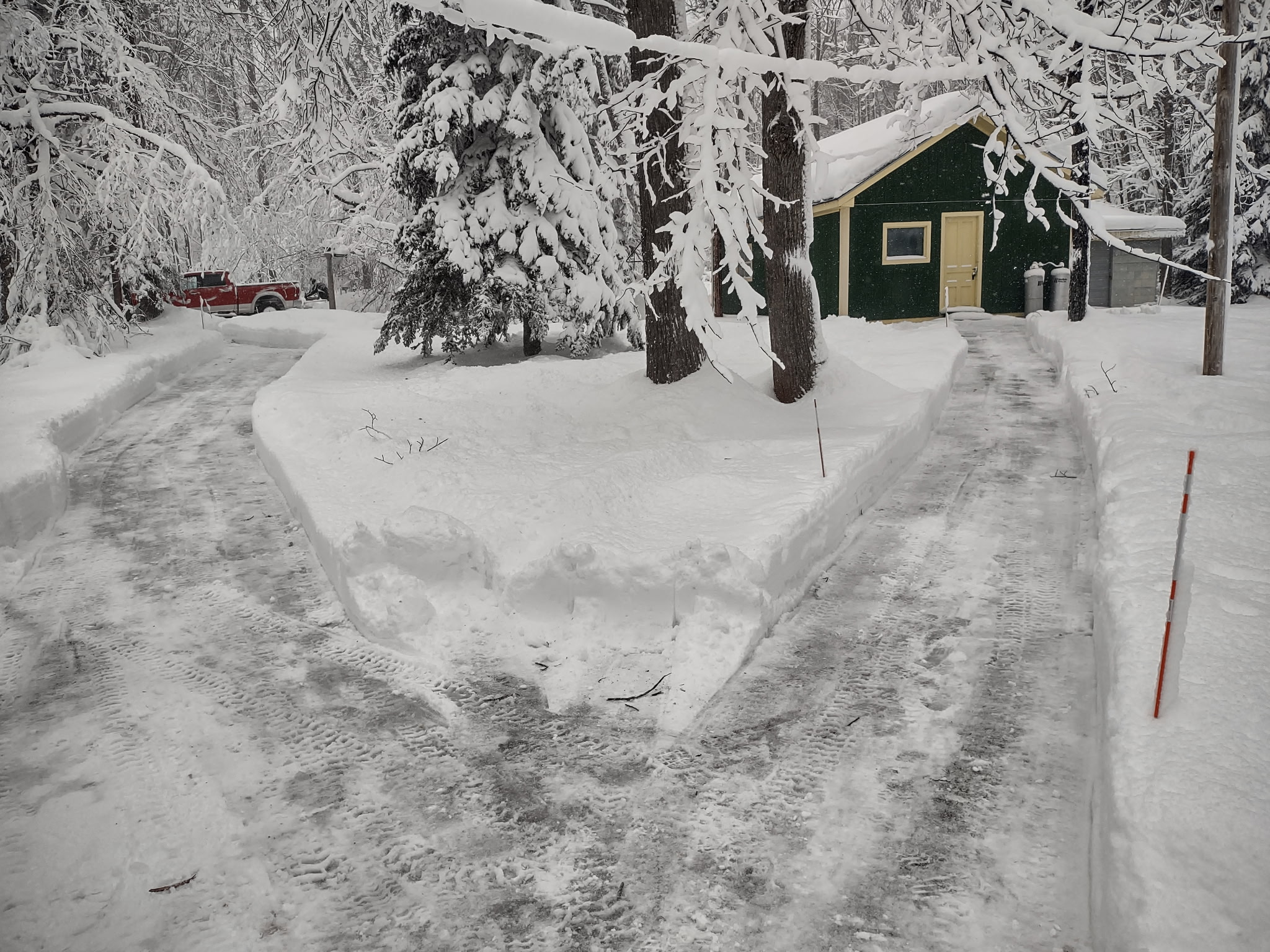Looking out the front door