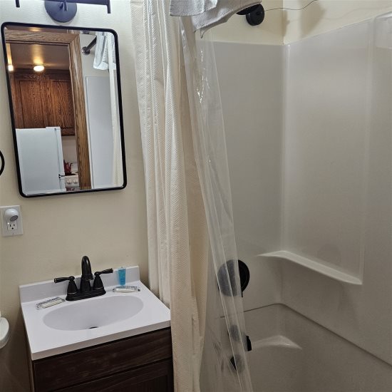 Downstairs bathroom 