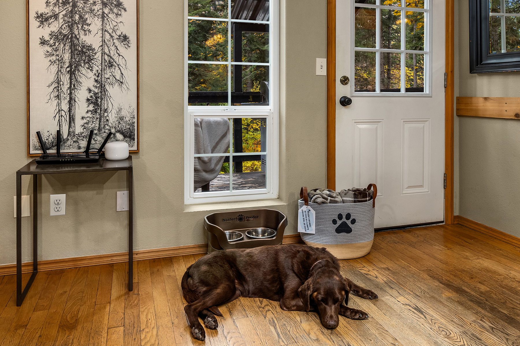 Dog friendly - dog bowls and blankets provided for furniture