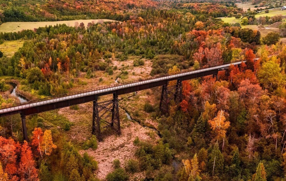 Doube's Trestle Bridge