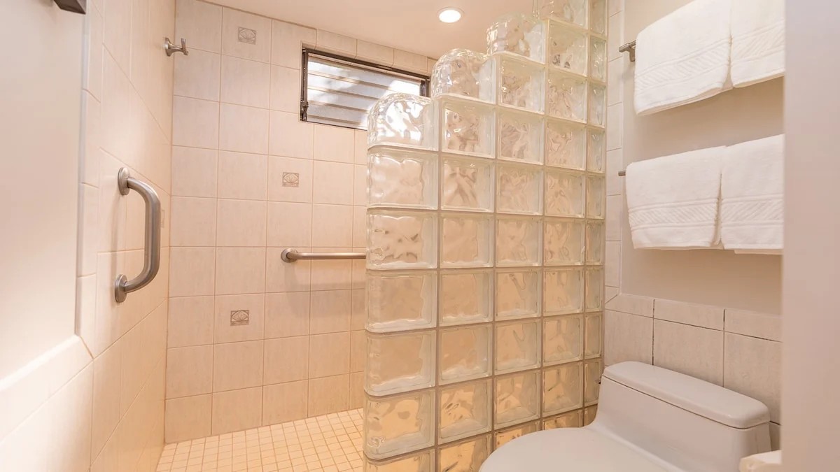 Walk in shower with grab bars