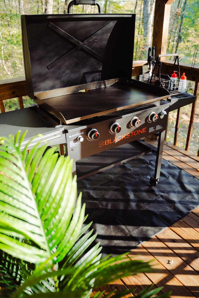 Details like lush plants bring an added touch of nature indoors