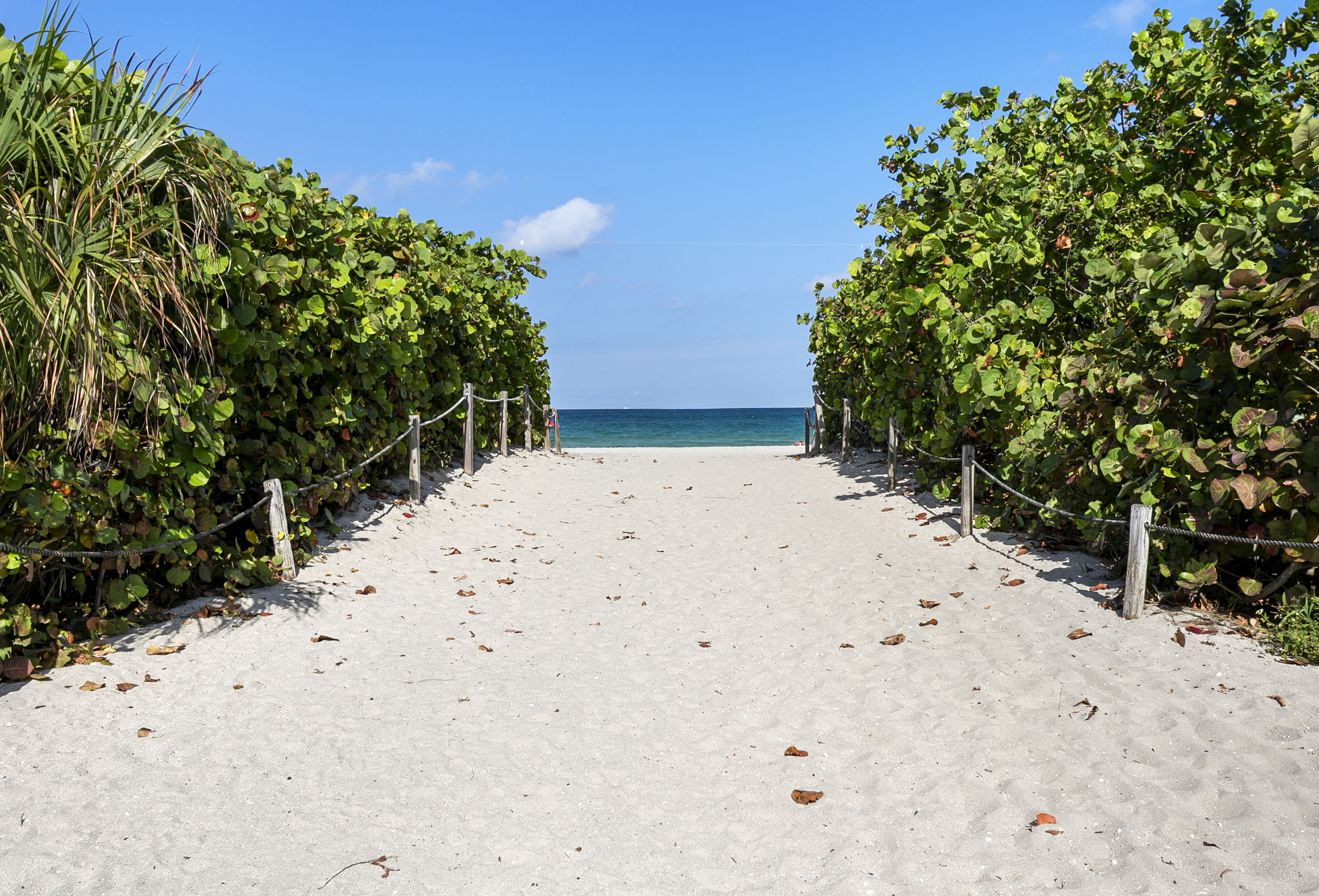 Beautiful beach entrance a short five minute walk from the building.
