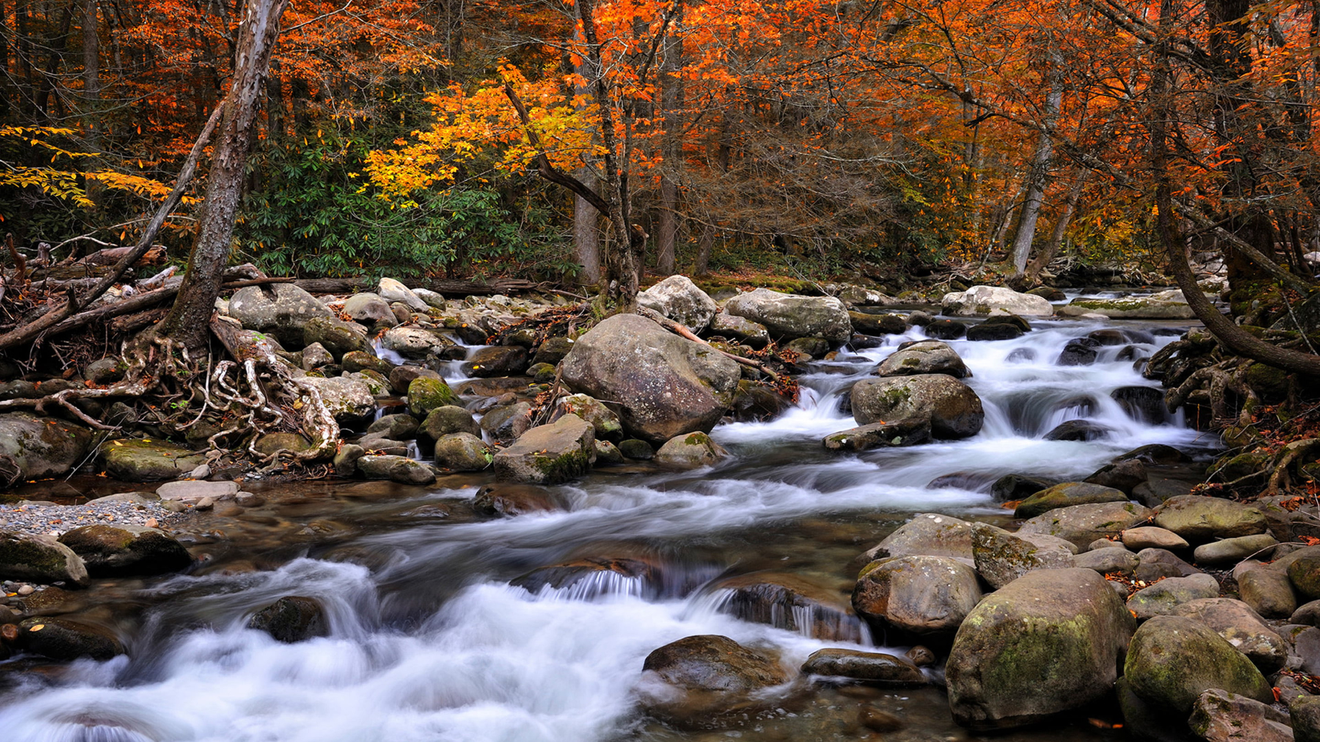 fall in the Smokies river