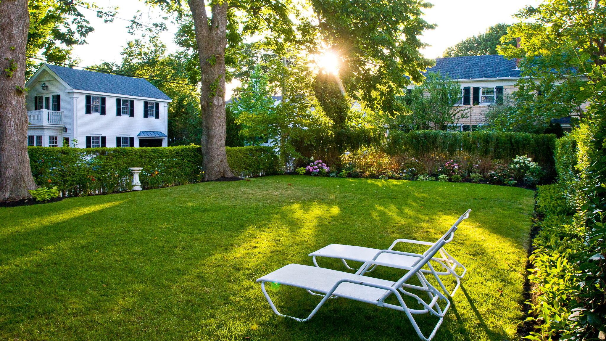 Back Lawn and Chaise Lounges (5)