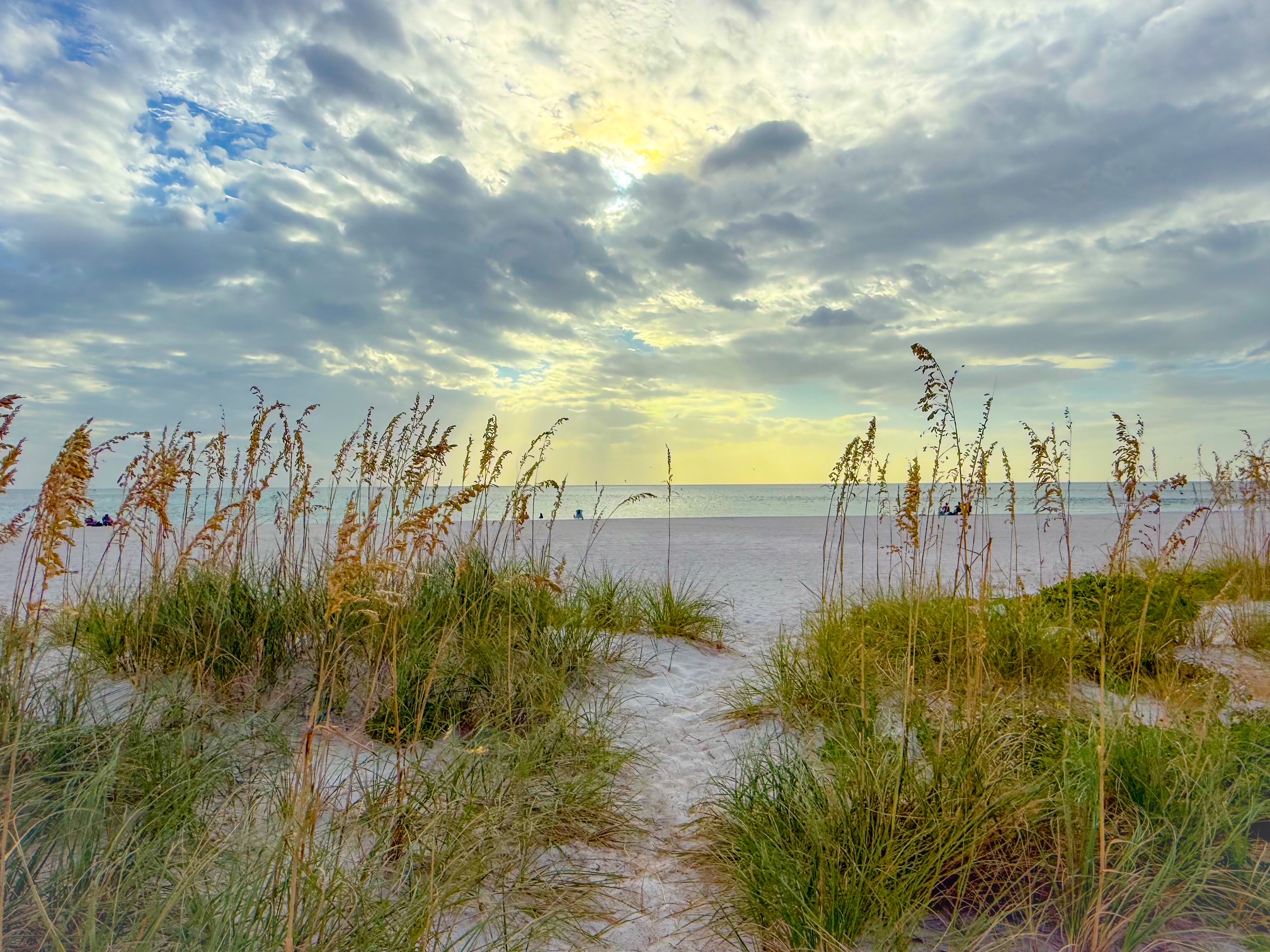 Path to the Public Part of the Beach