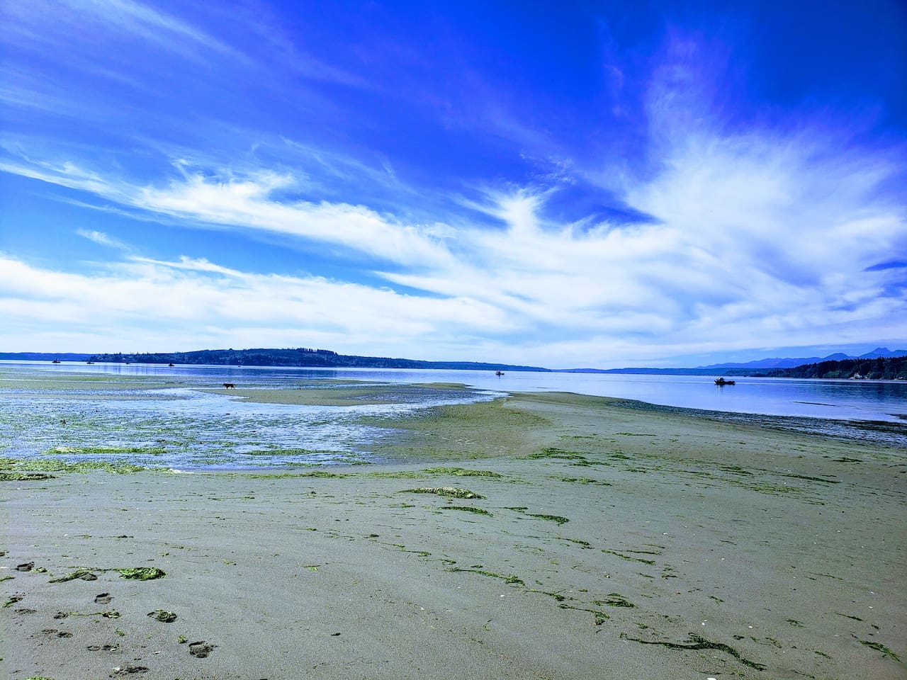 The dog and kids will be in heaven. Who are we kidding... everyone is in heaven on the beach. : )