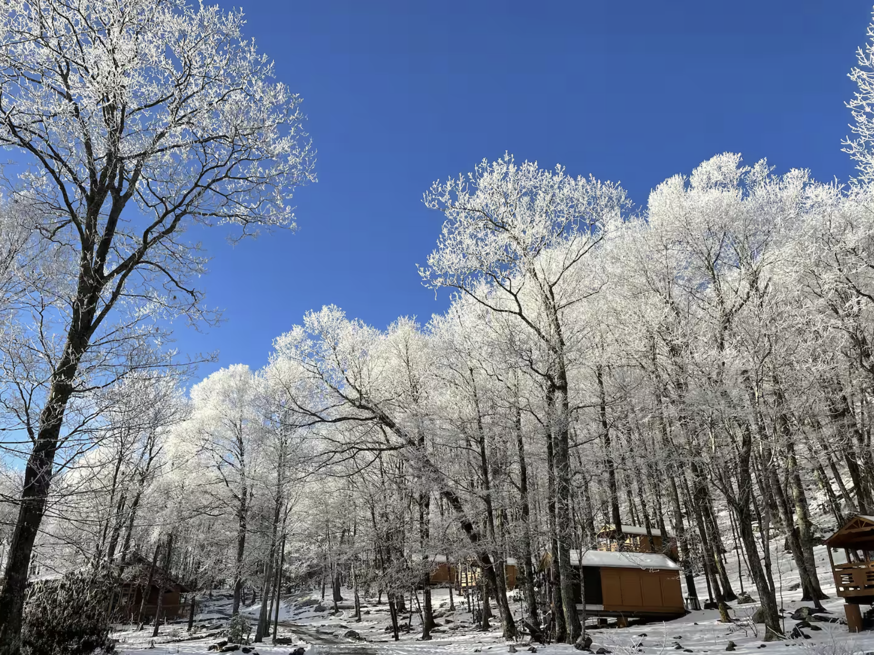 Winter on the Mountain!