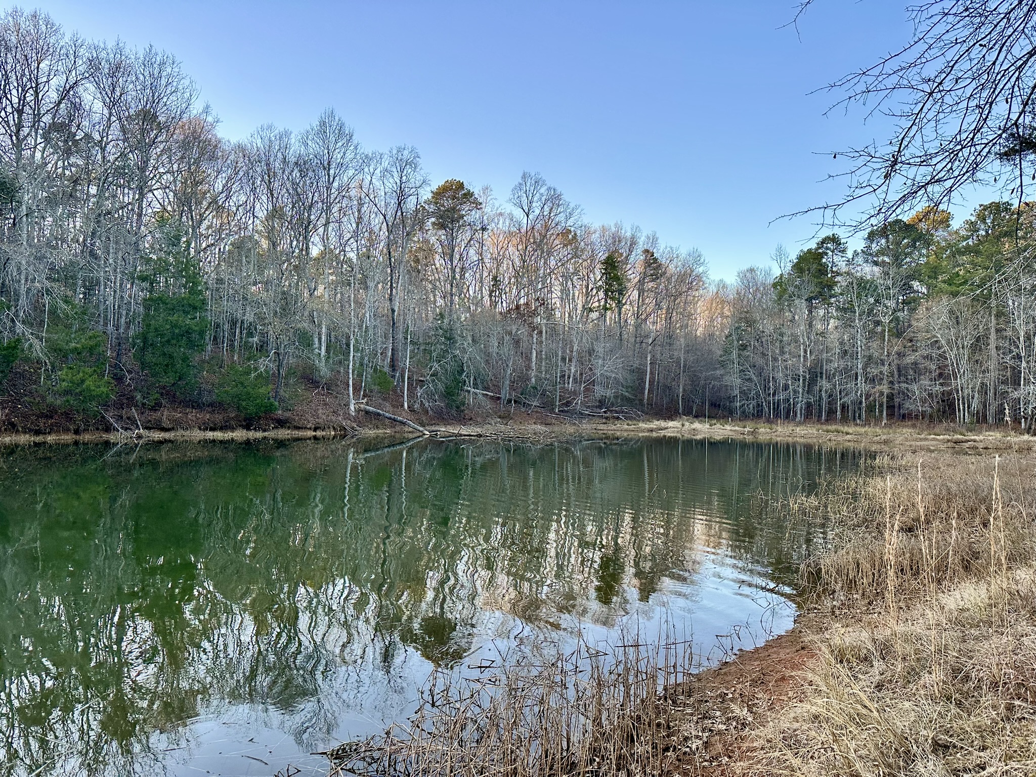 Lake Russell