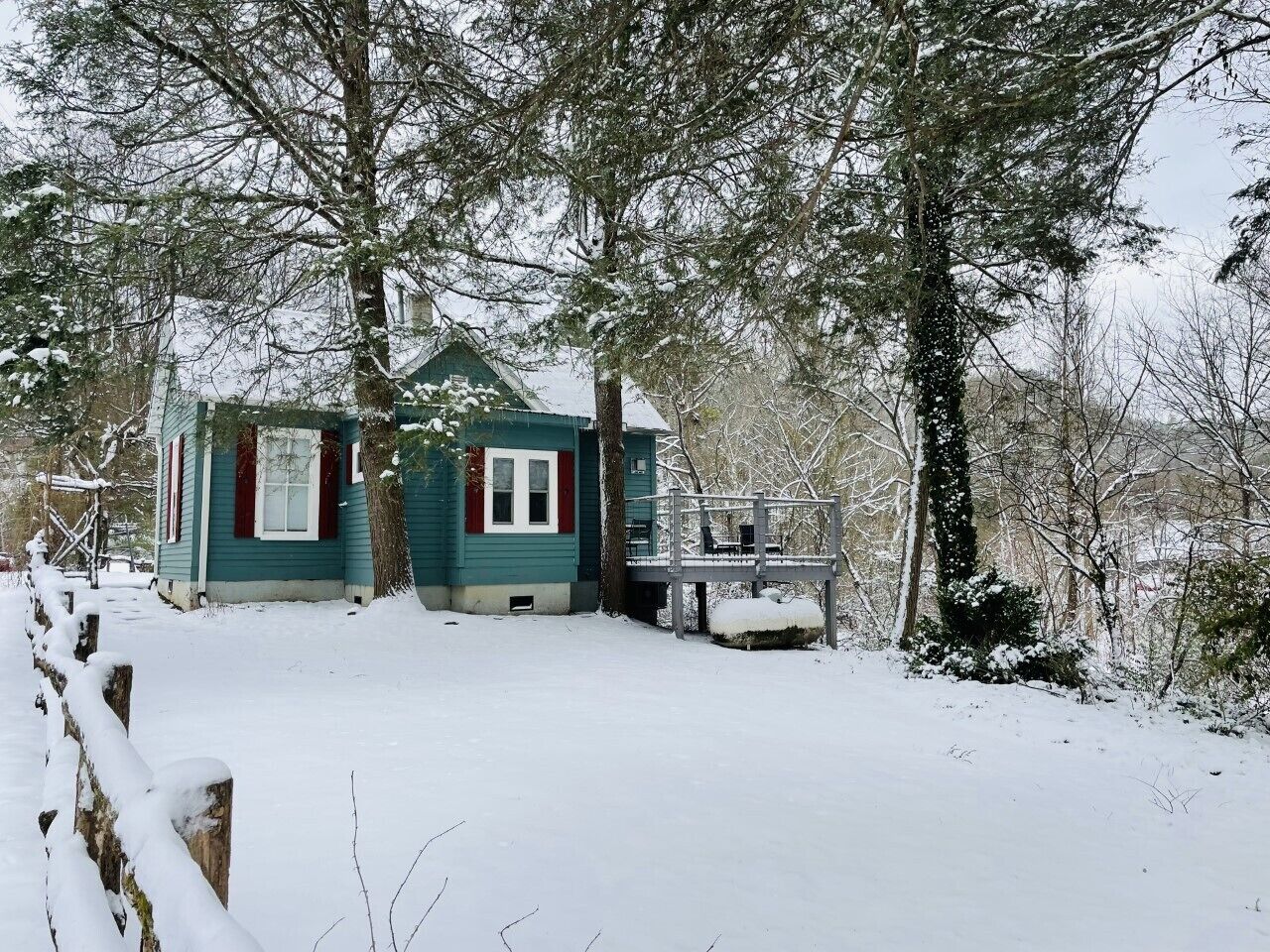 Blue Heron and a fresh blanket of snow